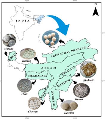 Diversity of Filamentous Fungi Isolated From Some Amylase and Alcohol-Producing Starters of India